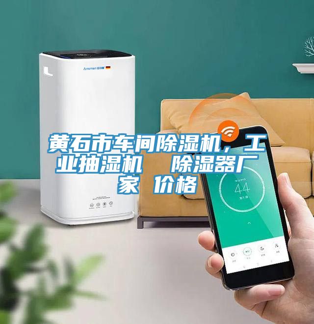 黃石市車間除濕機(jī)，工業(yè)抽濕機(jī)  除濕器廠家 價(jià)格