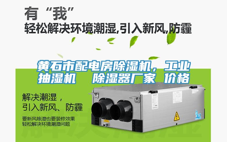 黃石市配電房除濕機(jī)，工業(yè)抽濕機(jī)  除濕器廠家 價(jià)格