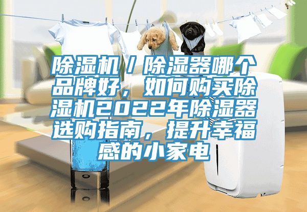 除濕機／除濕器哪個品牌好，如何購買除濕機2022年除濕器選購指南，提升幸福感的小家電