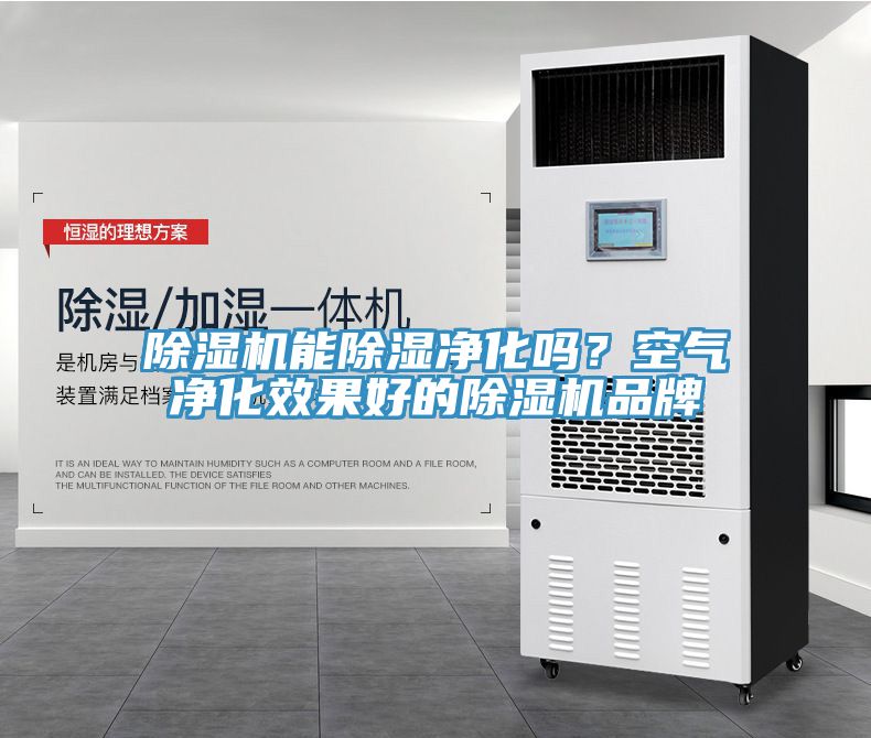 除濕機(jī)能除濕凈化嗎？空氣凈化效果好的除濕機(jī)品牌