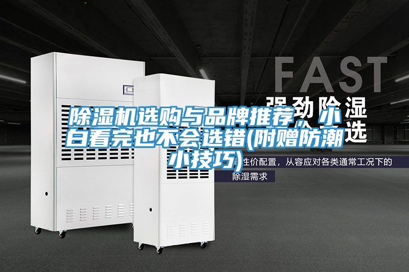 除濕機(jī)選購(gòu)與品牌推薦，小白看完也不會(huì)選錯(cuò)(附贈(zèng)防潮小技巧)