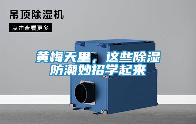 黃梅天里，這些除濕防潮妙招學(xué)起來