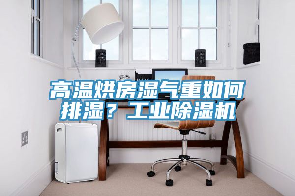 高溫烘房濕氣重如何排濕？工業(yè)除濕機