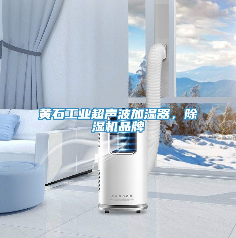黃石工業(yè)超聲波加濕器，除濕機品牌