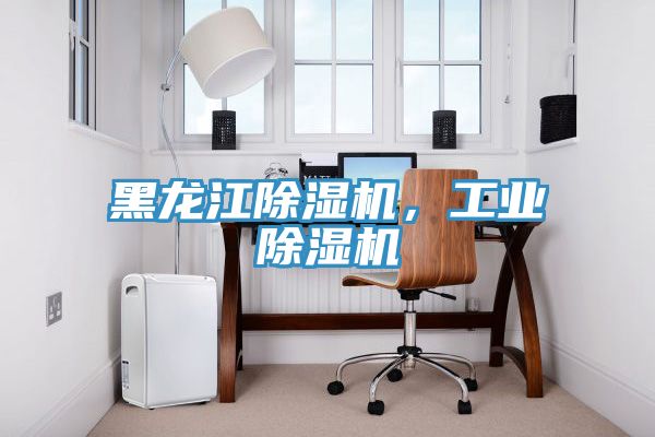 黑龍江除濕機(jī)，工業(yè)除濕機(jī)